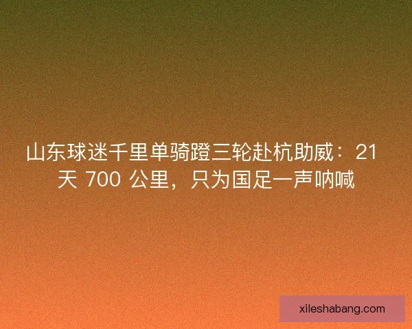山东球迷千里单骑蹬三轮赴杭助威：21 天 700 公里，只为国足一声呐喊