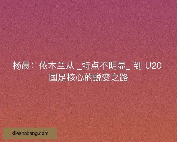 杨晨：依木兰从 _特点不明显_ 到 U20 国足核心的蜕变之路
