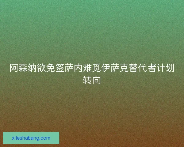 阿森纳欲免签萨内难觅伊萨克替代者计划转向