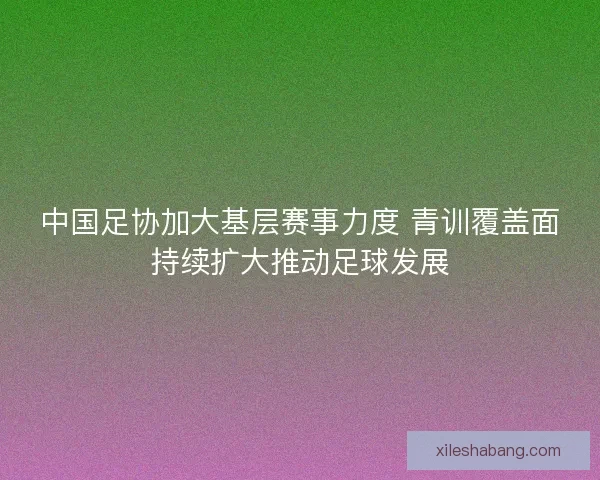 中国足协加大基层赛事力度 青训覆盖面持续扩大推动足球发展 中国足协加大基层赛事力度 青训覆盖面持续扩大推动足球发展
